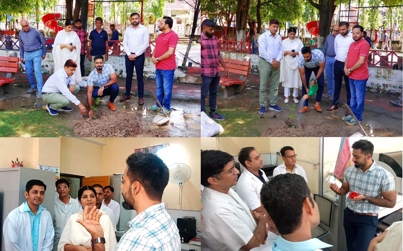 Deputy Commissioner planted herbal plants in MC Park of Una